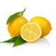 Limon Bonesi / 100 Adet / Bitki Çayı Bonesi Limon Bonesi / 100 Adet / Bitki Çayı Bonesi