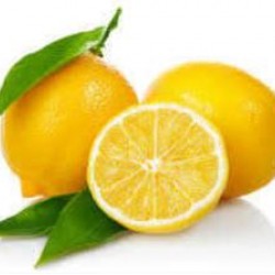 Limon Bonesi / 50 Adet / Bitki Çayı Bonesi
