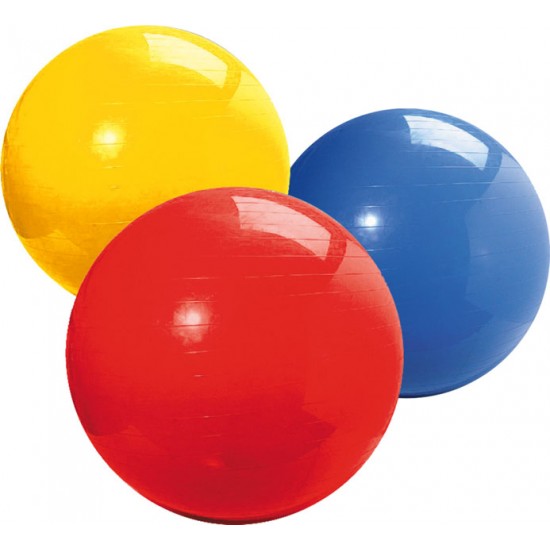 Pilates Topu 65 cm Pilates Topu 65 cm
